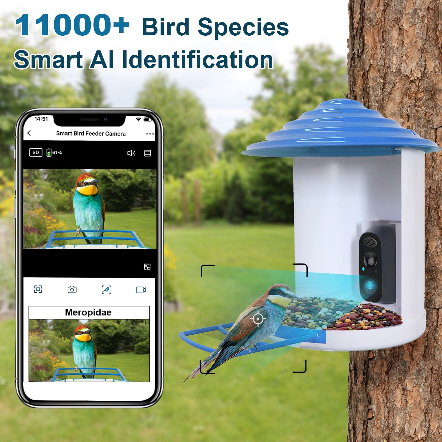 1080P HD Bird Feeder Camera with PIR Motion, Solar Rechargeable Battery & AI Bird Recognition – Nature Monitor