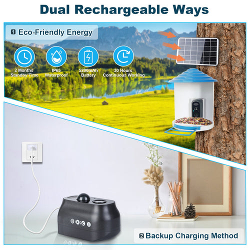 1080P HD Bird Feeder Camera with PIR Motion, Solar Rechargeable Battery & AI Bird Recognition – Nature Monitor